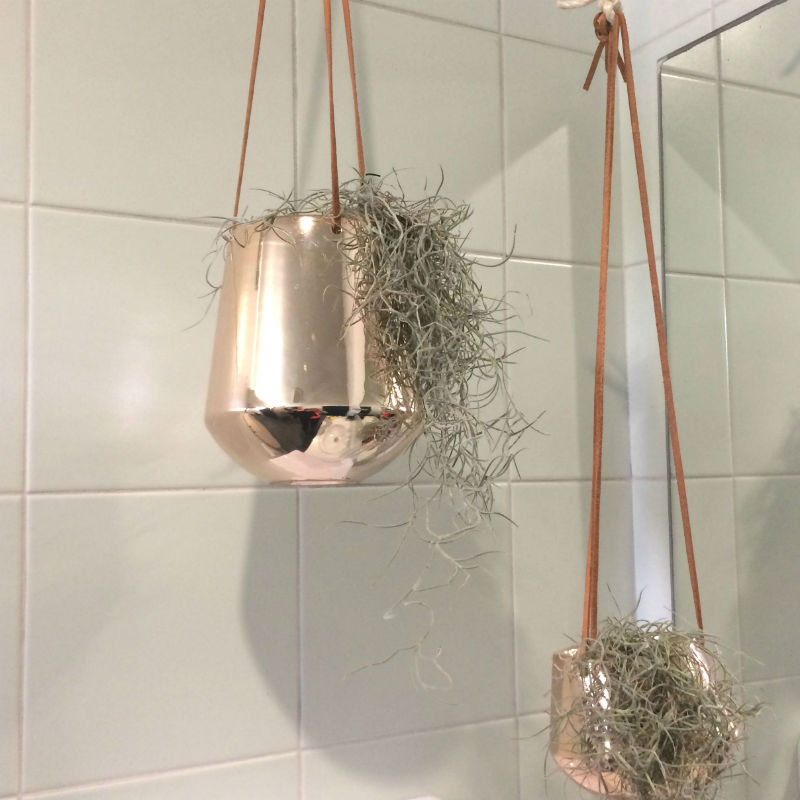 small-large-hanging-planters-comp.jpg